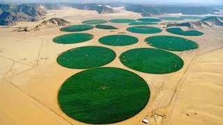 सऊदी अरब में पानी कहाँ से आता हैHow does Saudi get water|Water Supply And Sanitation In Saudi Arabia
