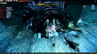 Vindictus]Guildmates carrying my Lann around S2 raids : Kraken [MADDOG]