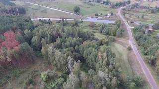 Продам дом. Хутор. Дом в лесу. Репкинский район.