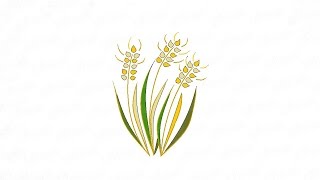 Как нарисовать пшеницу: инструкция от EvriKak