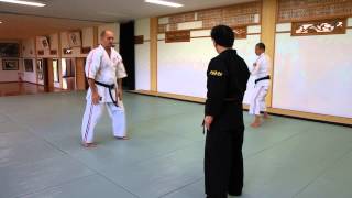 Shorinjiryu Renshinkan. Training in Honza with Soke Iwao Tamotsu, 10th Dan.