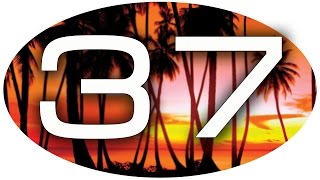 Прохождение GTA Vice City: Миссия 37 - Небрежное Обращение