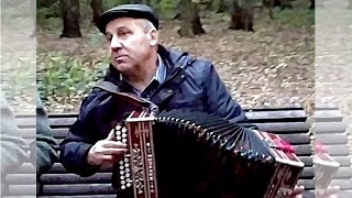 "Над окошком месяц" песня под гармонь