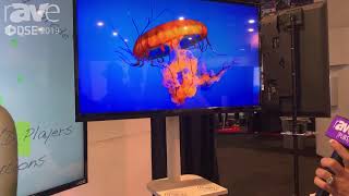 DSE 2019: Videotel Demos Its Interactive, Gesture-Based WAVE Solution