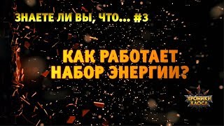 Знаете ли вы, что? #3 | Хроники Хаоса