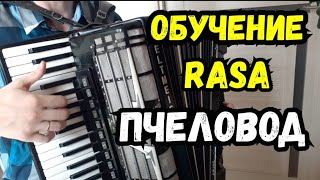 Обучение Rasa Ты пчела я пчеловод на аккордеоне разбор для новичков