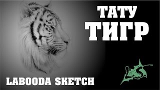 Тату тигр. Labooda Sketch