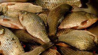 Как быстро, аккуратно и без грязи почистить карася.