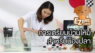 EZ pet care [by Mahidol] การเตรียมบ้านใหม่สำหรับน้องปลา