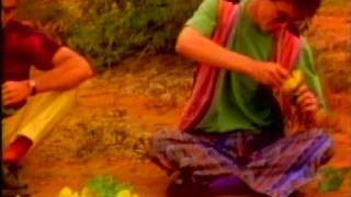 Estados Alterados - Seres De La Noche