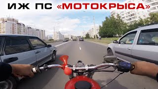 Мотокрыса никогда так не шла...