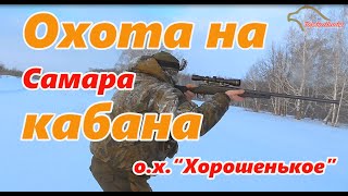 Охота на КАБАНА в Ох. хоз "Хорошенькое"