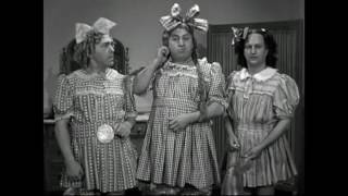 The Three Stooges: Nutty But Nice
