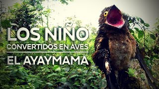 El Ayaymama - Mito niños convertidos en aves