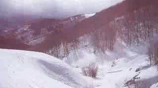 vail back bowls