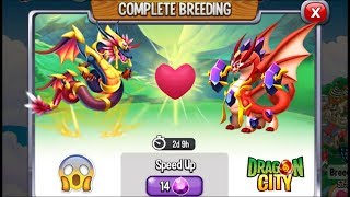 Dragon City: High Zephyr Dragon vs High Reverie Dragon [EXCLUSIVE BREEDING] ?