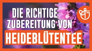 Heideblütentee Zubereitung | Die richtige Zubereitung von Heideblütentee