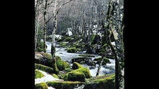 À la recherche du "Bonheur" : La rivière enchantée