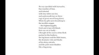 Elizabeth Bishop reading "The Fish."
