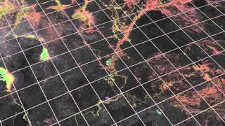 Next Generation Architectures for Earth Observation Data: The Data Cube Approach