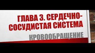 Физиология. Глава 3. Сердечно-сосудистая система. Кровообращение часть 1.